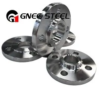 Stainless hlau Forged Flanges